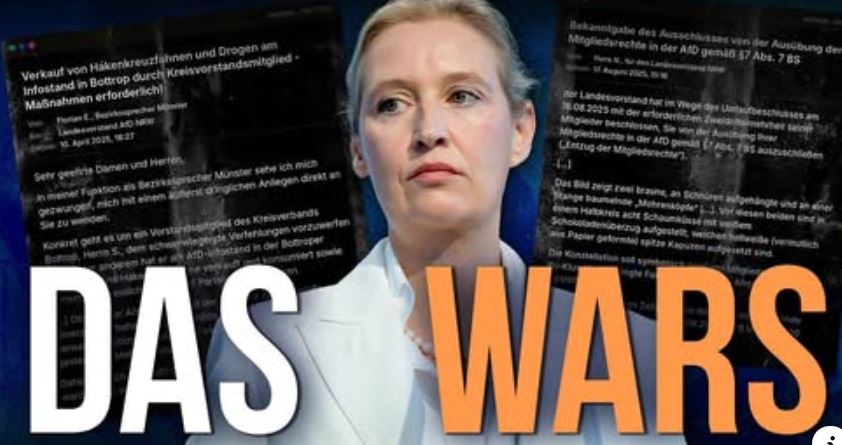AfD leaks